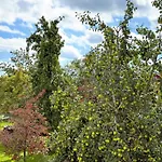 Urlaubshof Scherer Apartman Deggenhausertal