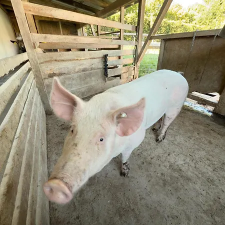 Urlaubshof Scherer Deggenhausertal