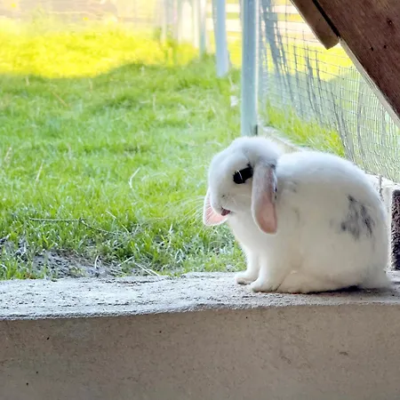 Apartamento Urlaubshof Scherer *