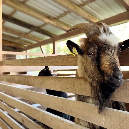 Апартаменты Urlaubshof Scherer