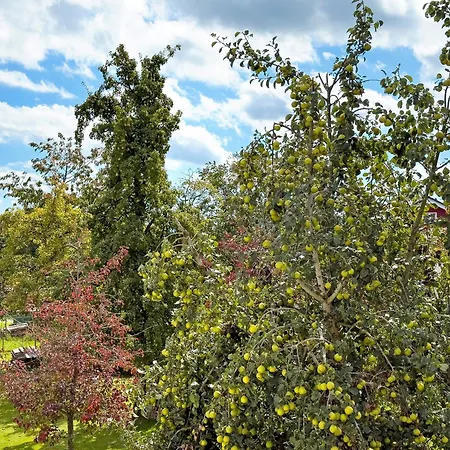 Apartamento Urlaubshof Scherer Deggenhausertal