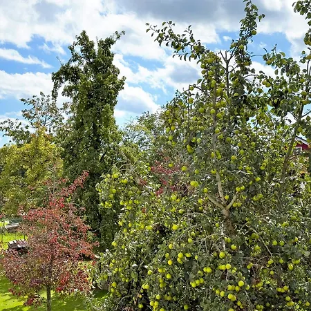 Urlaubshof Scherer Apartment Deggenhausertal